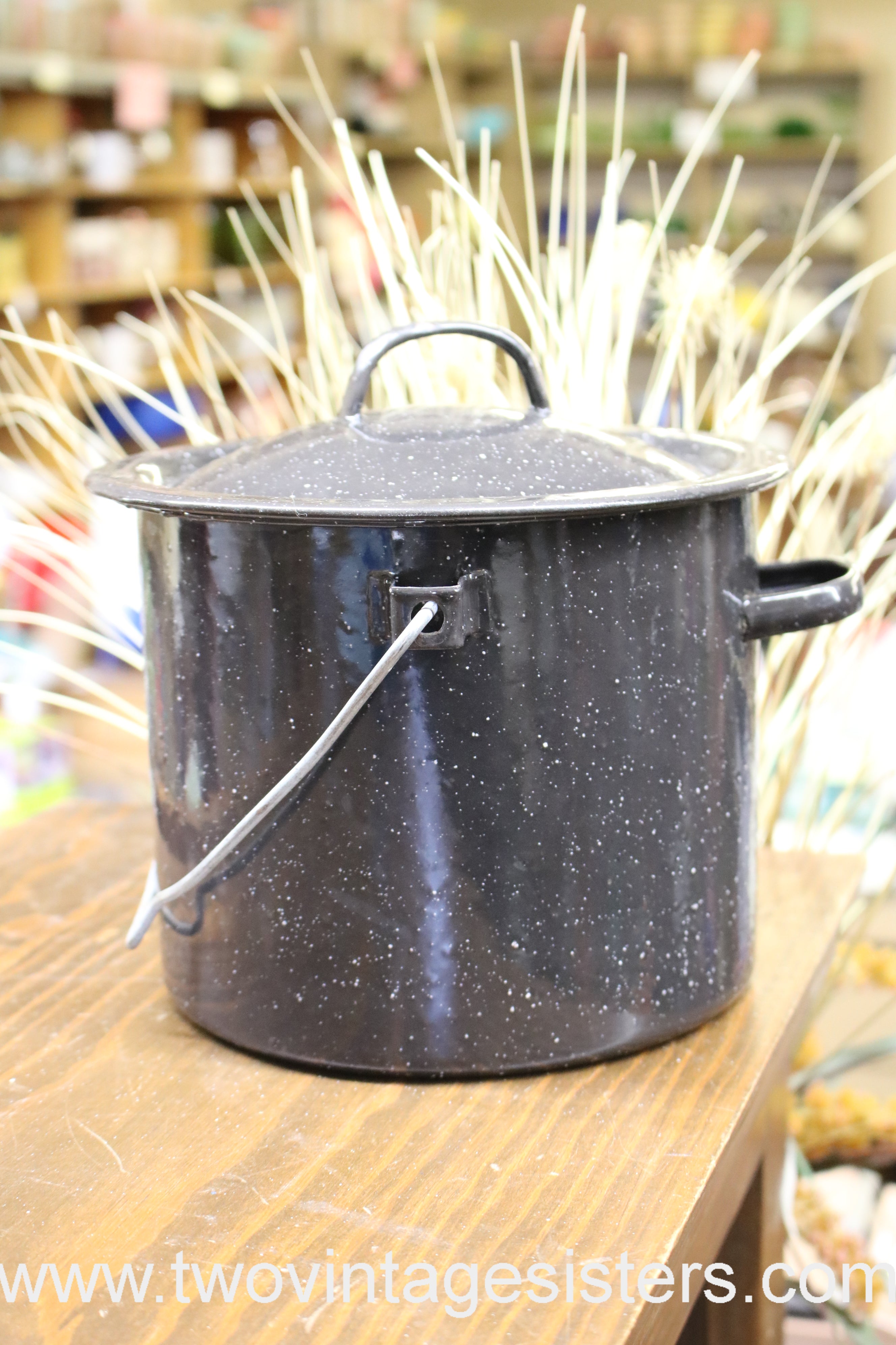 Blue White Enamelware 3 Qt Stock Pot Pan Lidded Camping Pot