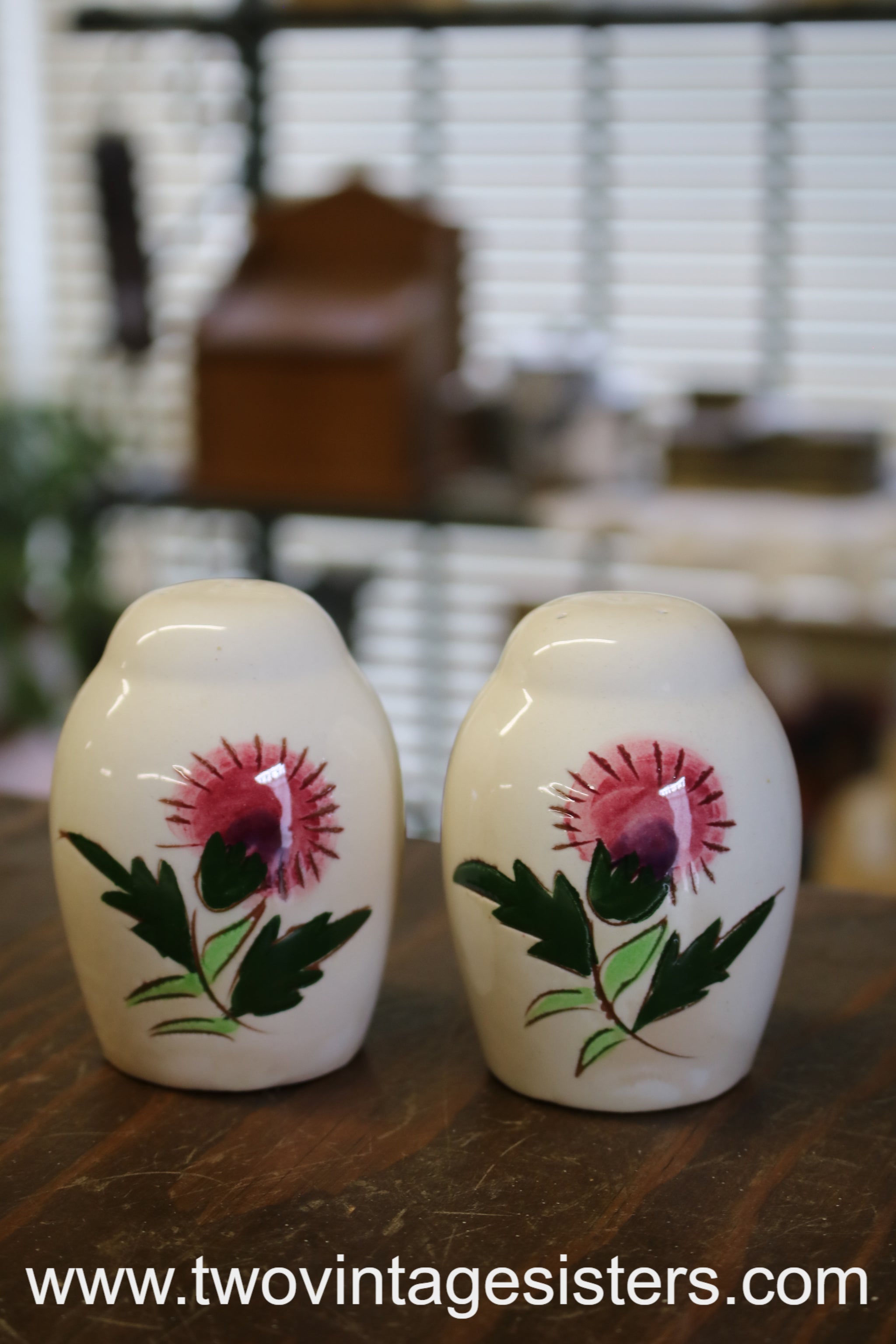 Vintage Pottery Salt outlets & Pepper Shakers