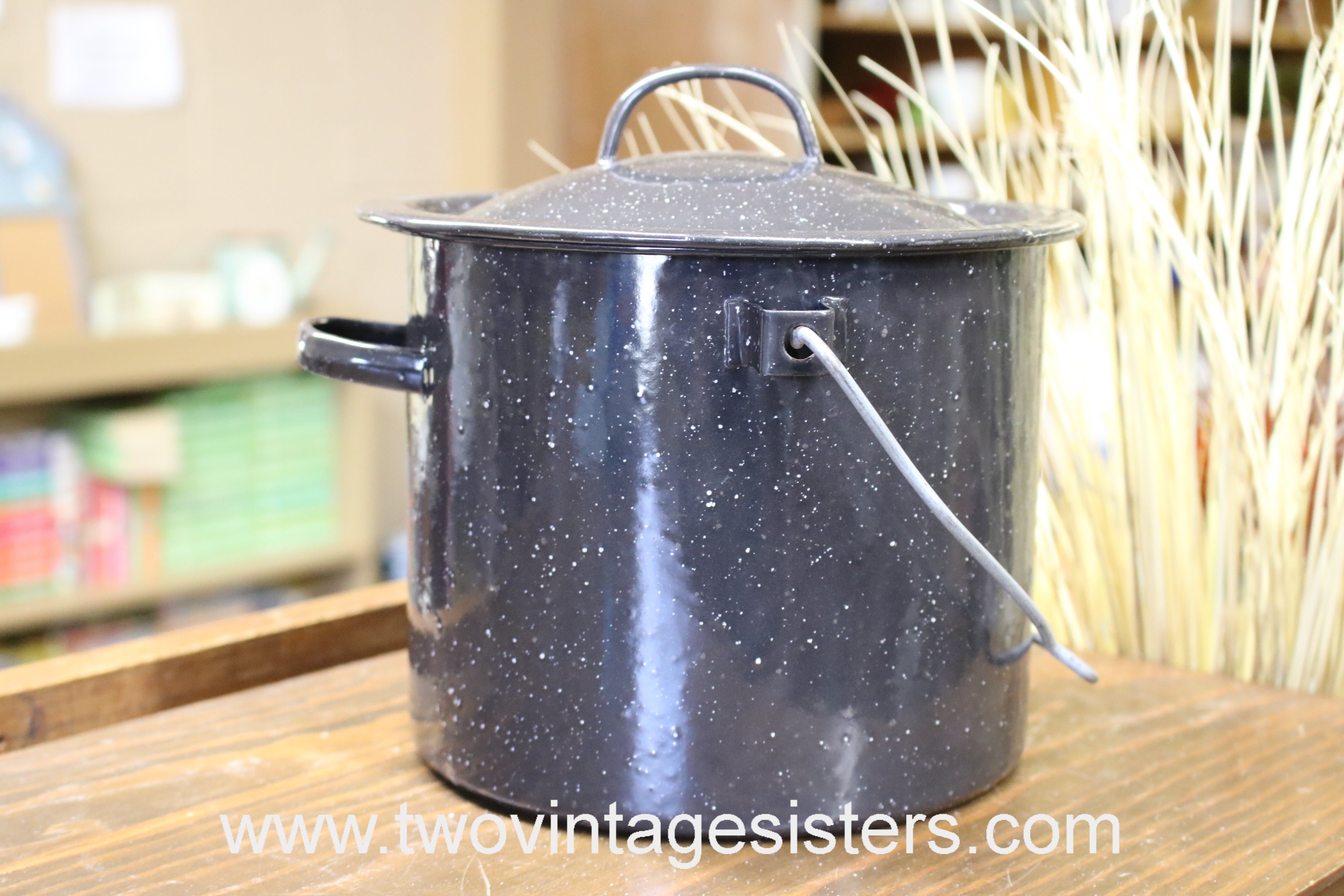 Blue White Enamelware 3 Qt Stock Pot Pan Lidded Camping Pot