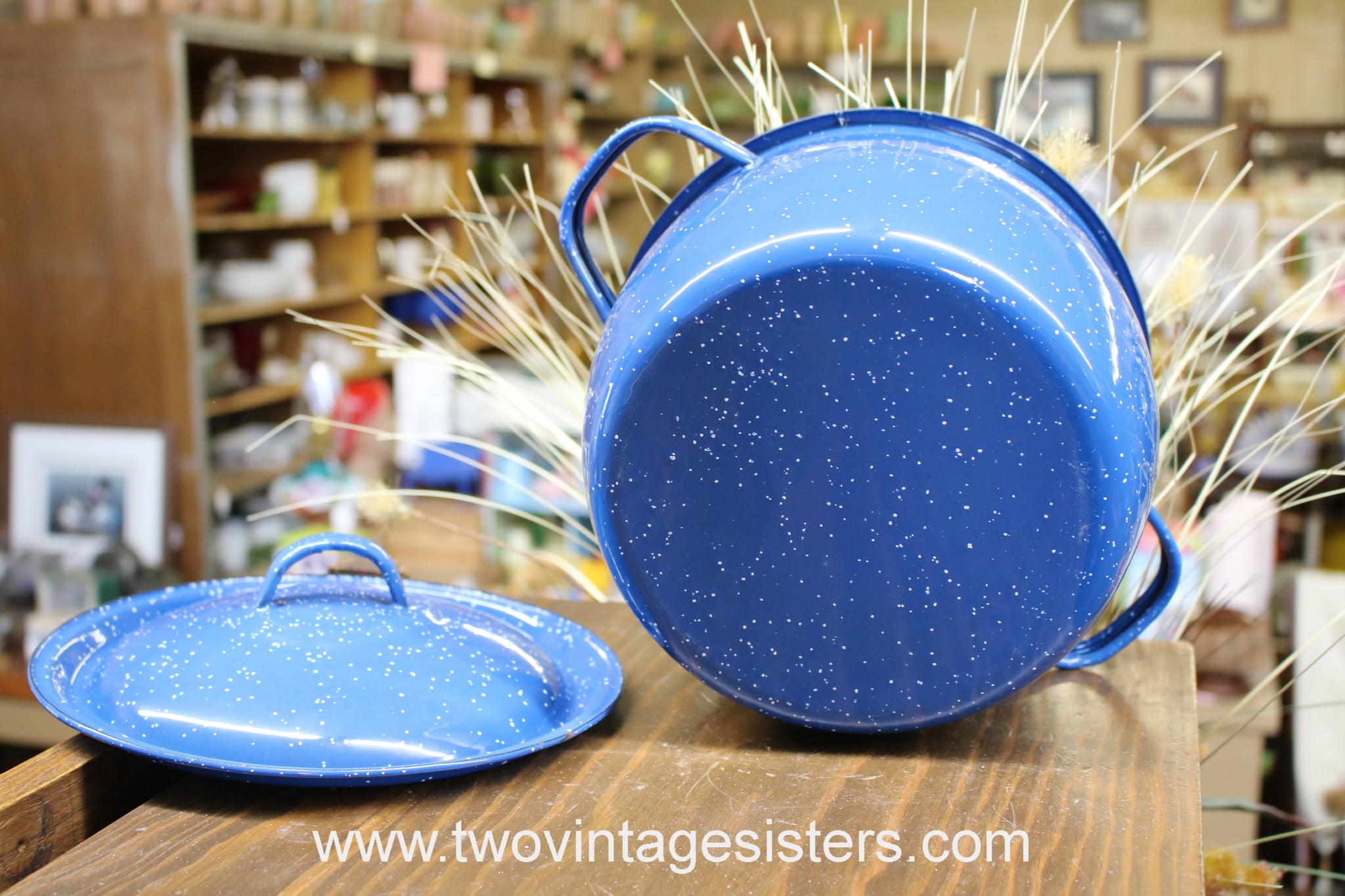 Camping Plate Blue White Speckled Enamelware