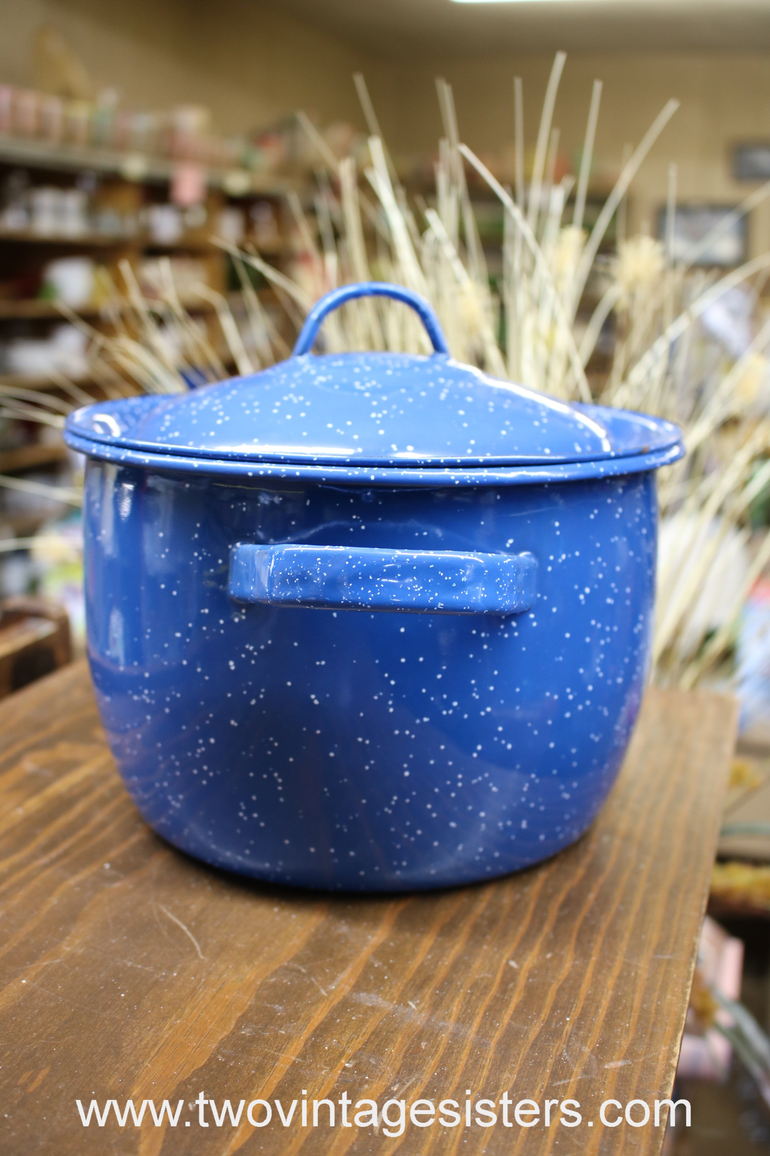 ROOSTER Enamelware Stockpot with Glass Lid, Enameled Cooking Pot 3 qt