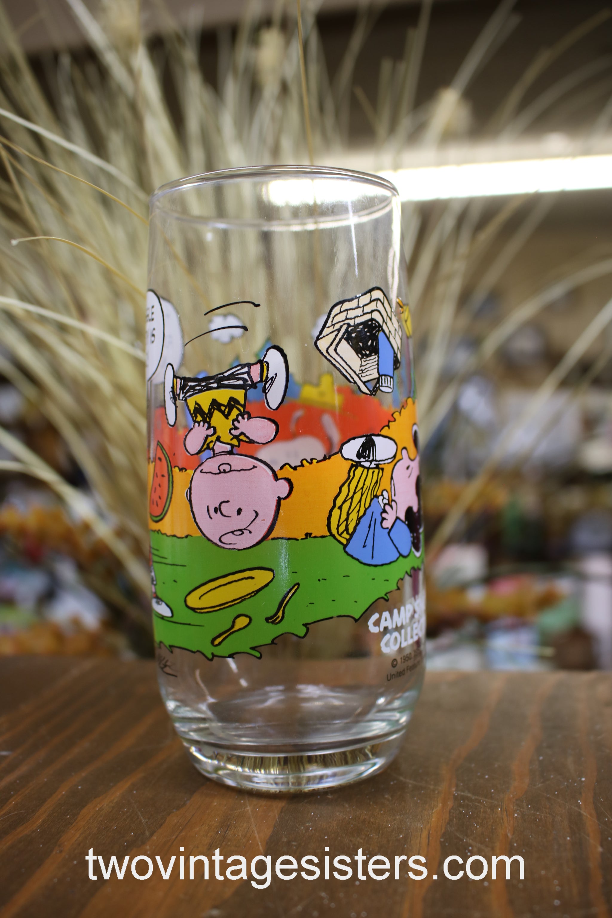 Camp Snoopy glasses hot